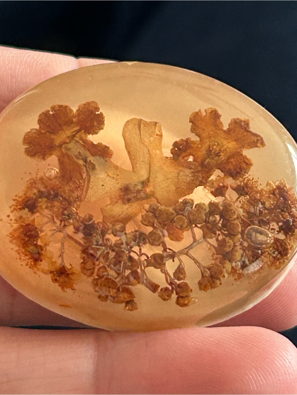 4/$100 Botanical Amber Resin Cabochon - Honey Brown